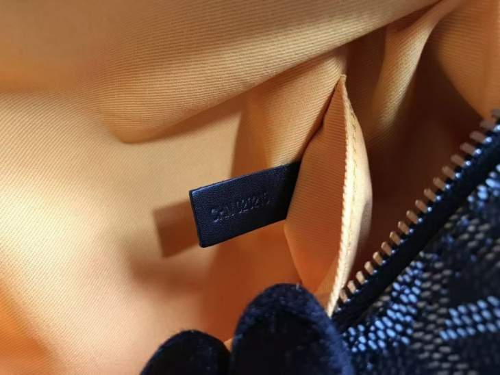Picture of Goyard Handbags _SKUfw225670398fw